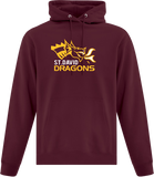 St. David - Adult Hoodie