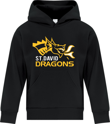 St. David - Youth Hoodie
