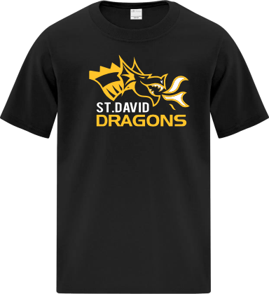 St. David-Youth T-shirt